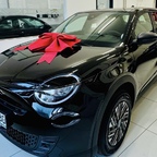 Abholung bei Fiat